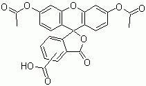 CFDA (5-(and 6)-Carboxyfluorescein diacetate) *Mixed isomers*