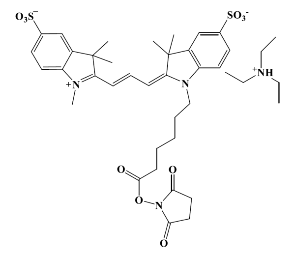 Sulfo-Cyanine 3 NHS ester [equivalent to Sulfo-Cy3(R) NHS ester]