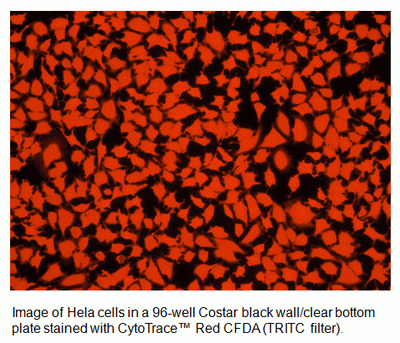 CytoTrace(TM) Red CFDA