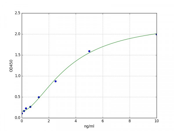 Human RPS6K beta 1 / Ribosomal Protein S6 Kinase Beta 1 ELISA Kit