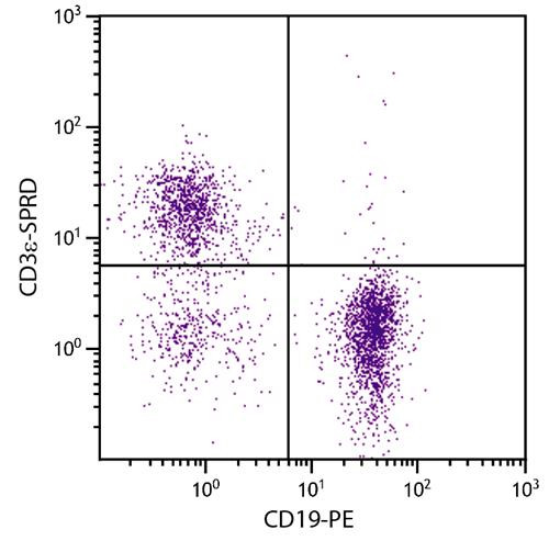 Anti-CD3e (Spectral Red), clone 145-2C11