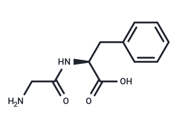 Glycyl-L-phenylalanine