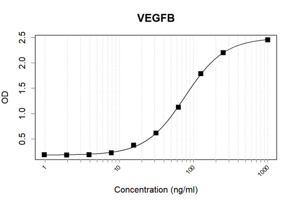 Anti-Human VEGFB Antibody Pair