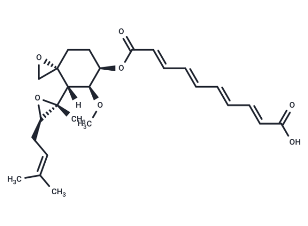 Fumagillin