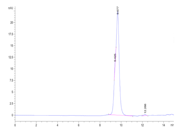 Cynomolgus ADAM9 Protein