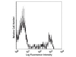 Anti-CD8a, clone HIT8a, Fluorescein Conjugated