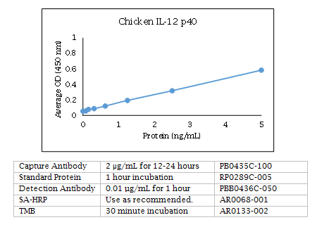 Anti-Interleukin-12 p40 (IL-12 p40) (chicken)