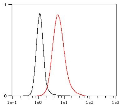 Anti-CD117 / c-Kit, clone SQab18111