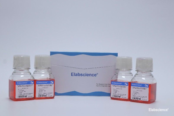 BRL Cells Complete Medium