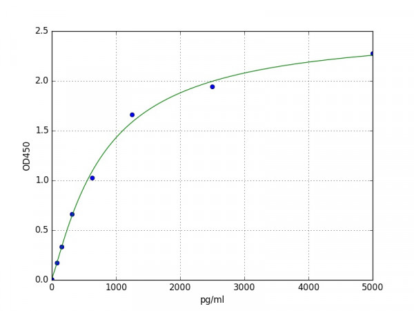 Human Sonic hedgehog protein / SHH ELISA Kit