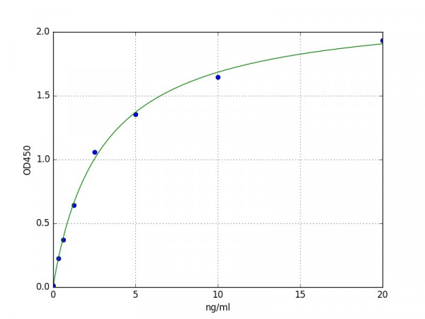 Human 12-LO / ALOX12 ELISA Kit