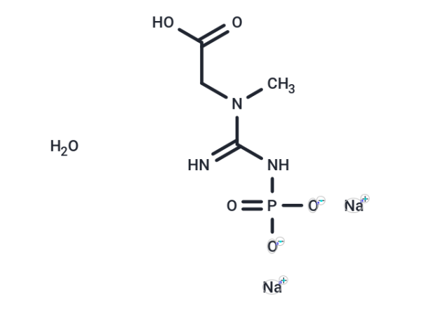 Phosphocreatine disodium hydrate
