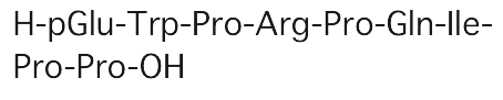 Angiotensin Converting Enzyme Inhibitor