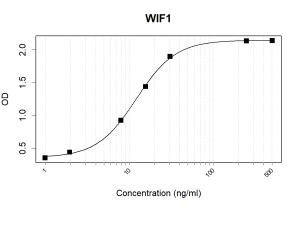 Anti-Human WIF1 Antibody Pair