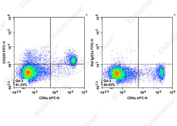 Anti-CD226, clone 480.1, Fluorescein conjugated