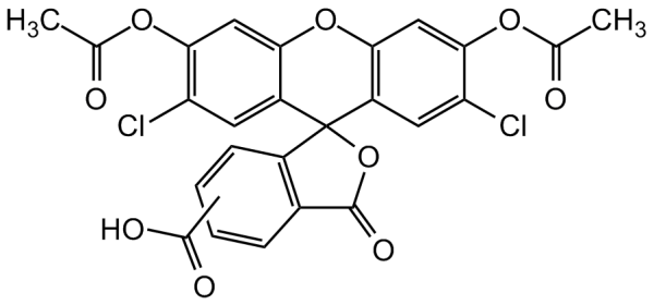 Carboxy-DCFDA