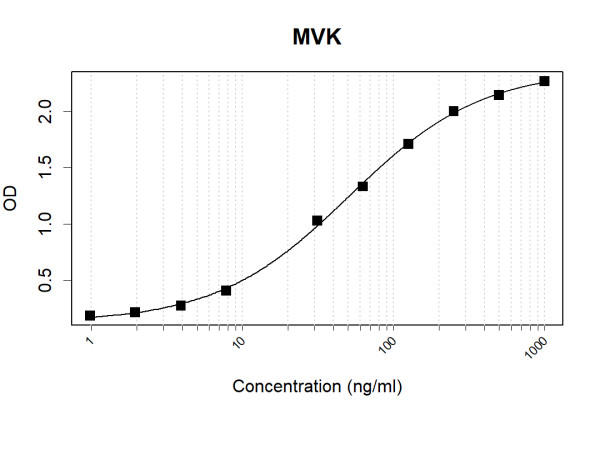 Anti-Human MVK Antibody Pair