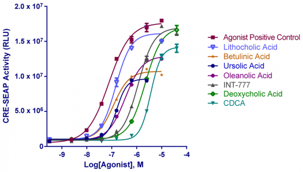 TGR5 (GP-BAR1) Reporter Assay Kit