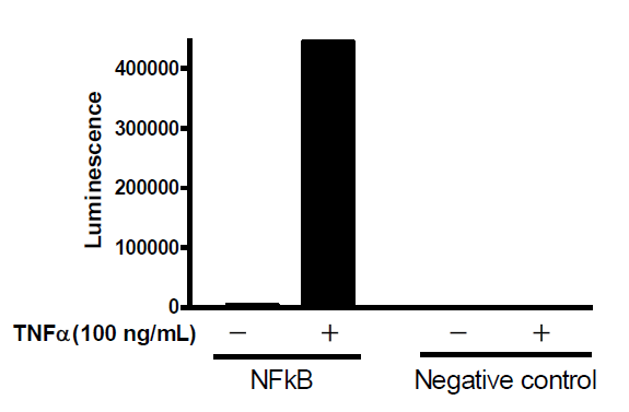 Negative Control Lentivirus (Firefly Luciferase)