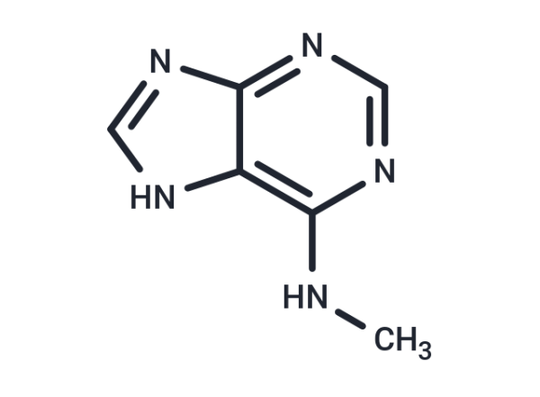 N6-Methyladenine