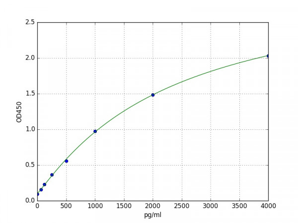 Human BMP2 ELISA Kit