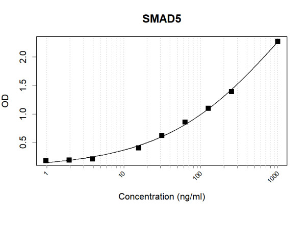 Anti-Human SMAD5 Antibody Pair
