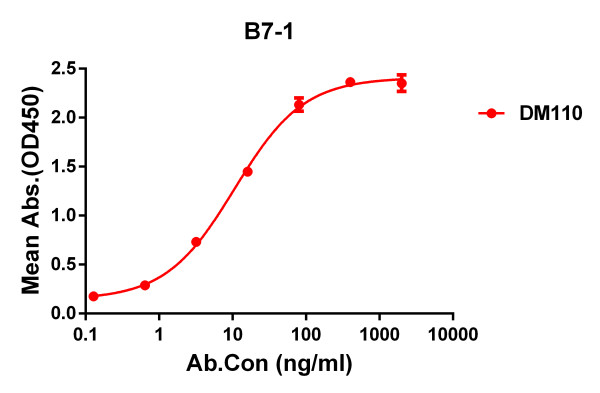 Anti-B7-1 antibody(DM110), Rabbit mAb