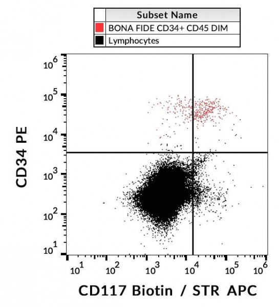 Anti-CD117 / c-Kit, clone 104D2 (biotin)