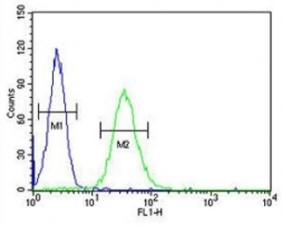 Anti-CD80