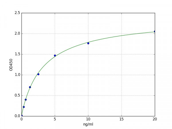 Human IA2 / PTPRN ELISA Kit