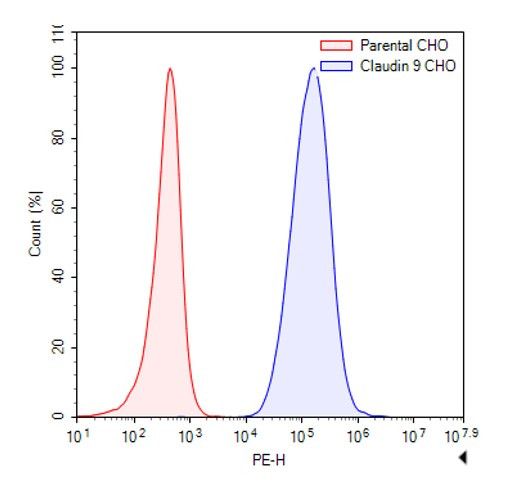 Claudin-9 CHO Cell Line