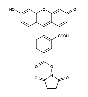 5-FAM SE