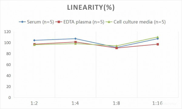 Mouse ANG1 (Angiopoietin 1) CLIA Kit