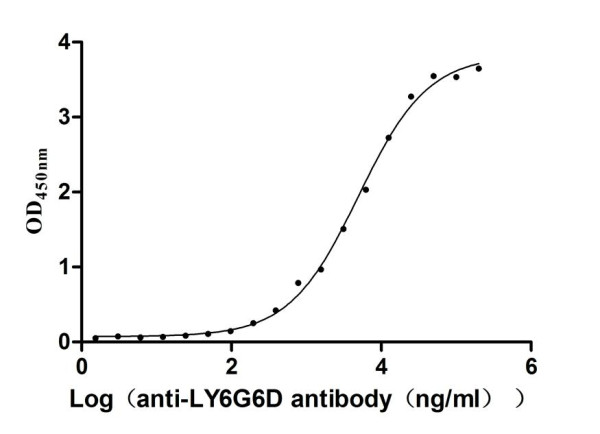 Anti-LY6G6D Recombinant Monoclonal, clone 2D6