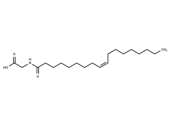 N-Oleoyl glycine