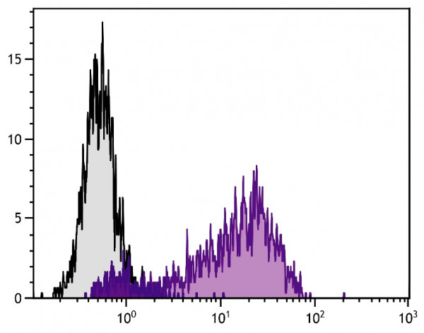 Anti-CD62E (PE), clone 1.2B6