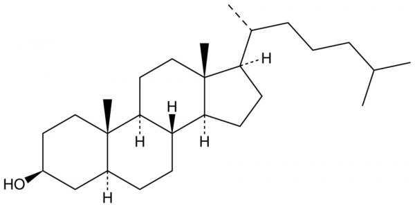 Coprostanol