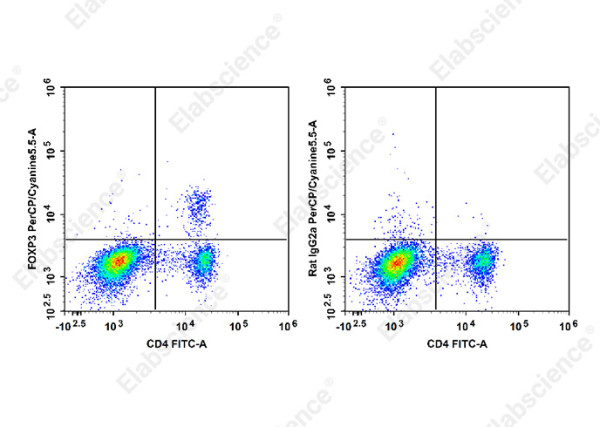 Anti-Foxp3 (mouse/rat), clone FJK-16s, PerCP/Cyanine5.5 conjugated