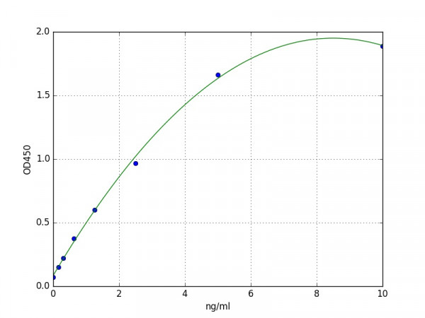 Human Syntenin 2 / SDCBP2 ELISA Kit