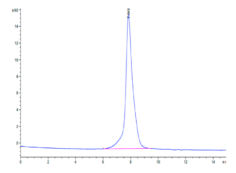PDGF R beta/CD140b, His, Canine