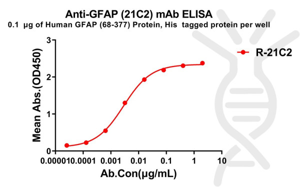 Anti-GFAP(68-377) antibody(21C2), Rabbit mAb