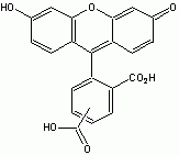 5(6)-FAM [5-(and-6)-Carboxyfluorescein] (Validated for labeling peptides and oligos)