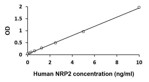 Human NRP2 ELISA Kit