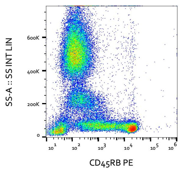 Anti-CD45RB, clone MEM-55 (PE)