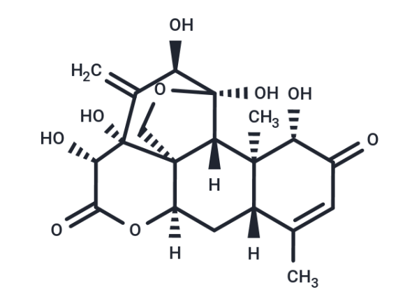 EURYCOMANONE