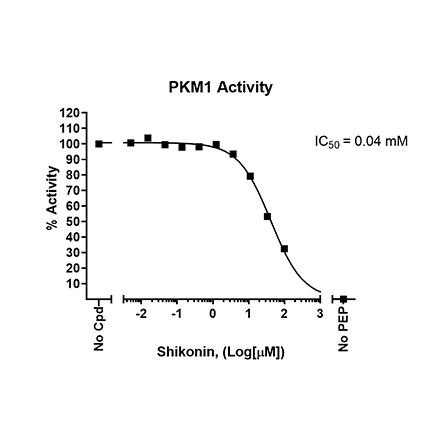PKM1 Kinase Inhibition Assay Kit
