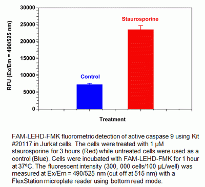 Cell Meter(TM) Live Cell Caspase 9 Binding Assay Kit *Green Fluorescence*