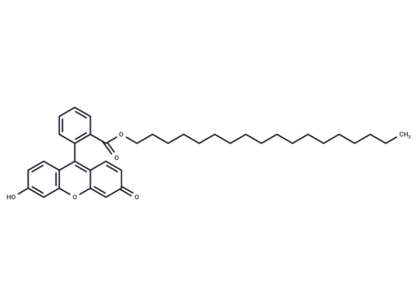 Fluorescein octadecyl ester