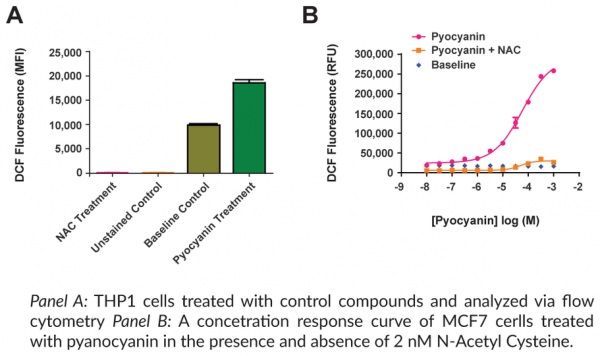 ROS Detection Cell-Based Assay Kit (DCFDA)