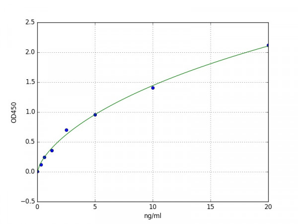 Human HO-1 / HMOX1 / HSP32 ELISA Kit